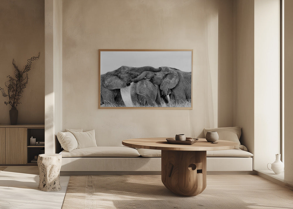 Elephant Playing Poster