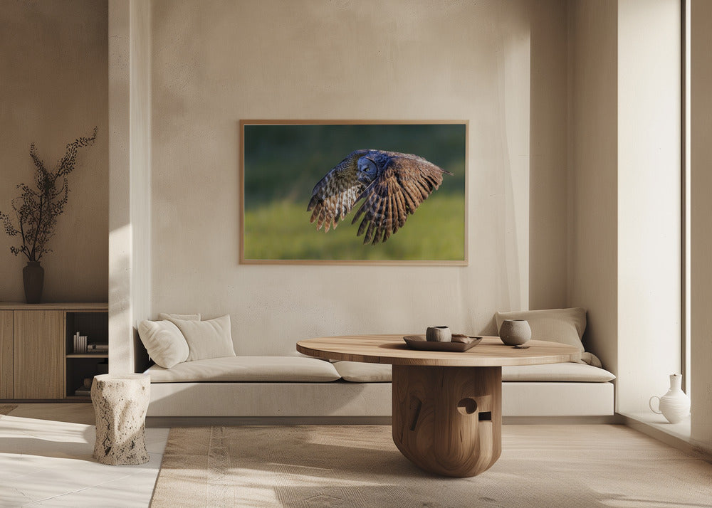 Great Grey Owl Poster