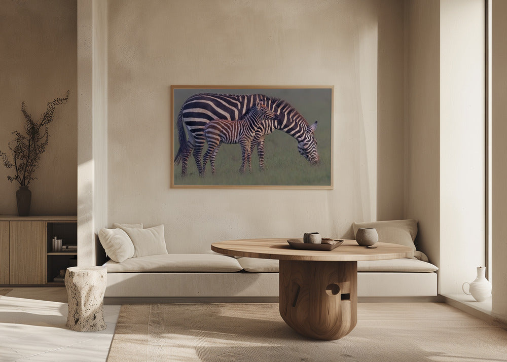 Baby Zebra Poster