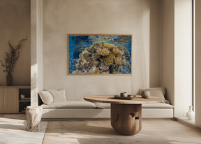 Reef of Mayotte Poster