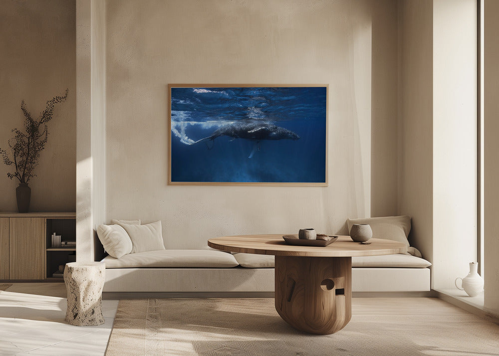 Humpback whale on the Iris bank Poster