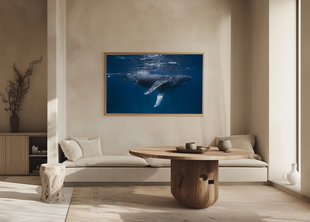 Humpback Whale Escort Poster