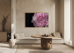 Pink peony IV Poster