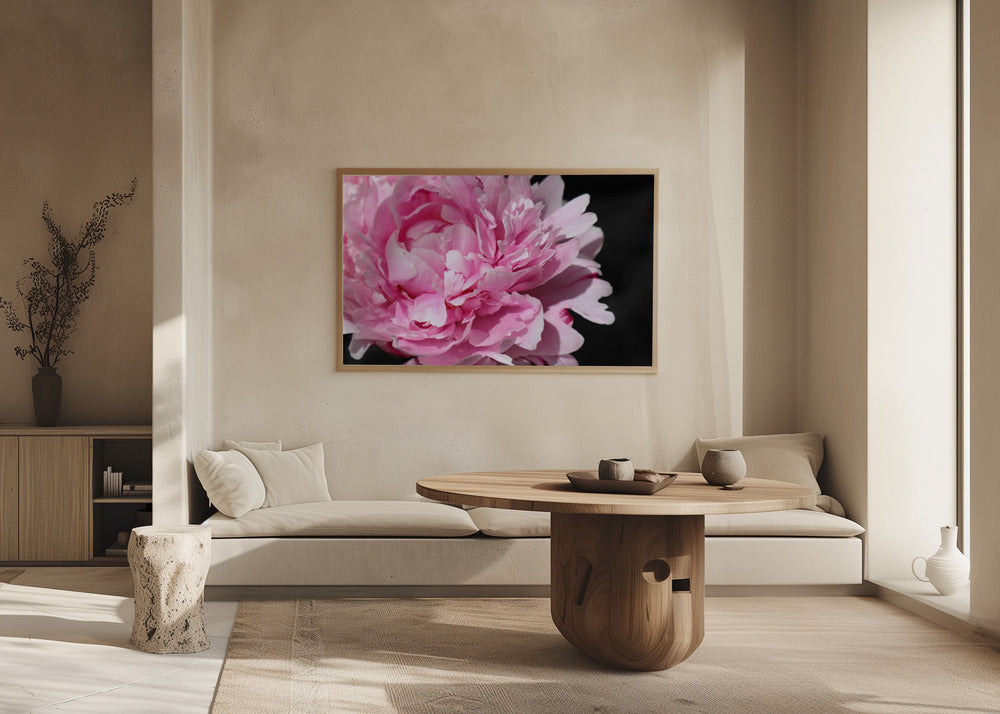 Pink peony VI Poster