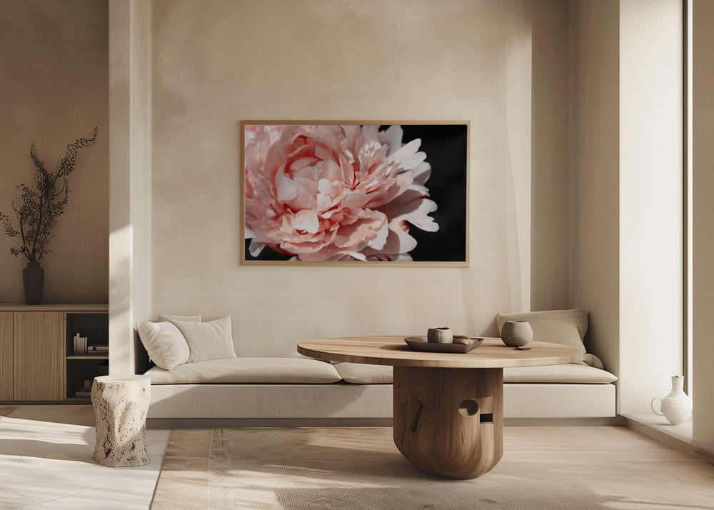 Blush peony VI Poster