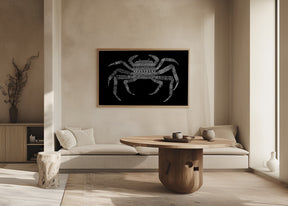 Crab Poster