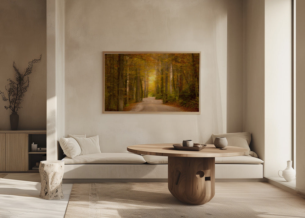 Road through the forest Poster