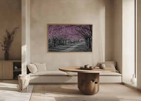 Charming cherry blossom alley in pink Poster