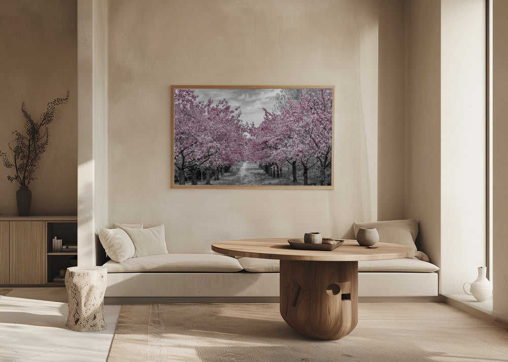 Charming cherry blossom alley Poster