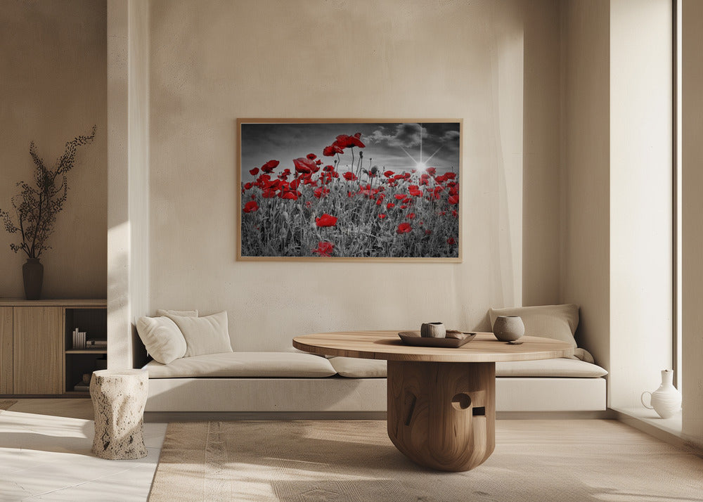 Idyllic Field of Poppies with Sun Poster