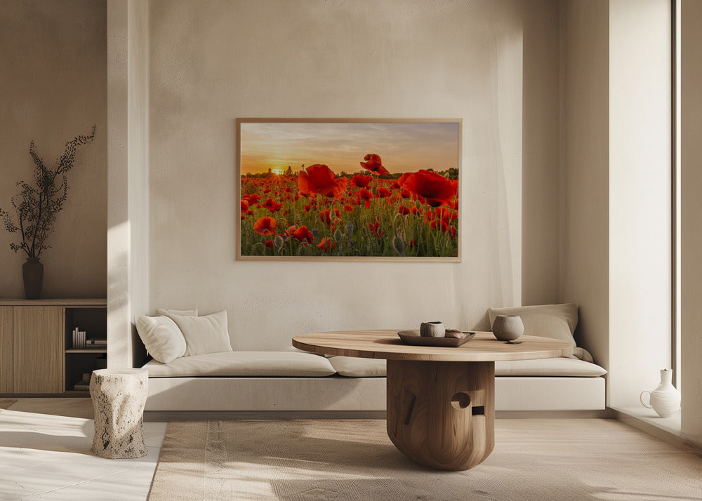 Setting sun in field of poppies | Panoramic Poster