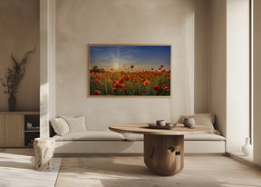 Poppy idyll in sunset Poster