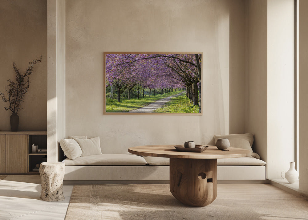 Idyllic cherry blossom alley Poster