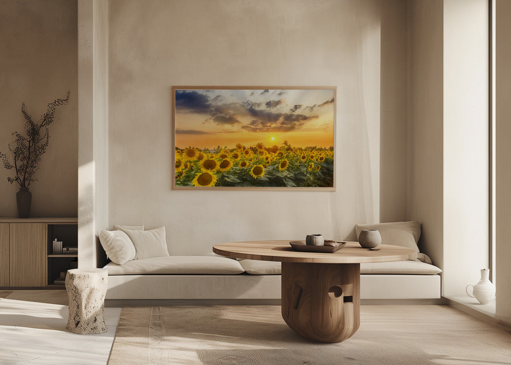 Sunflower field at sunset | Panoramic View Poster