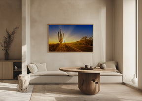 SAGUARO NATIONAL PARK Setting Sun Poster