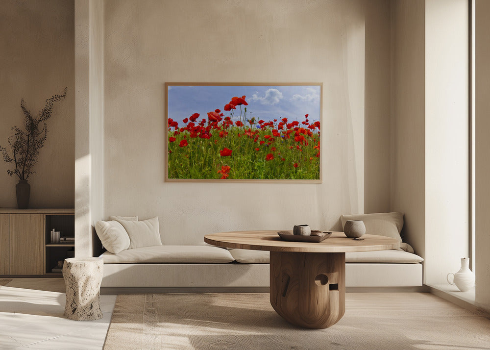 Field of Poppies | panoramic view Poster