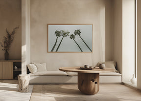 Lovely vintage palm trees in the sun Poster