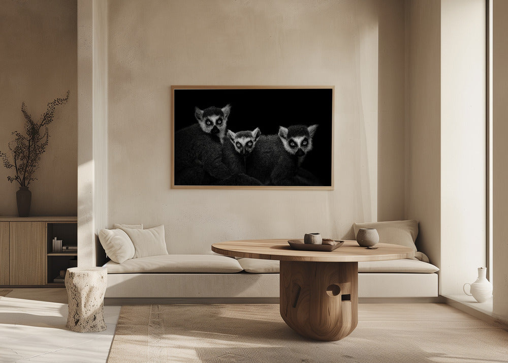 Lemur Trio Poster