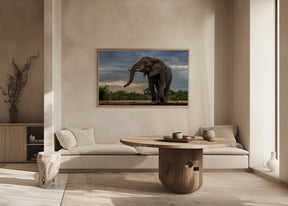 Elephant Drinking Poster