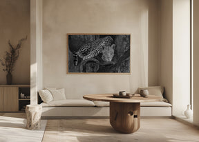 Leopard on A Tree Poster