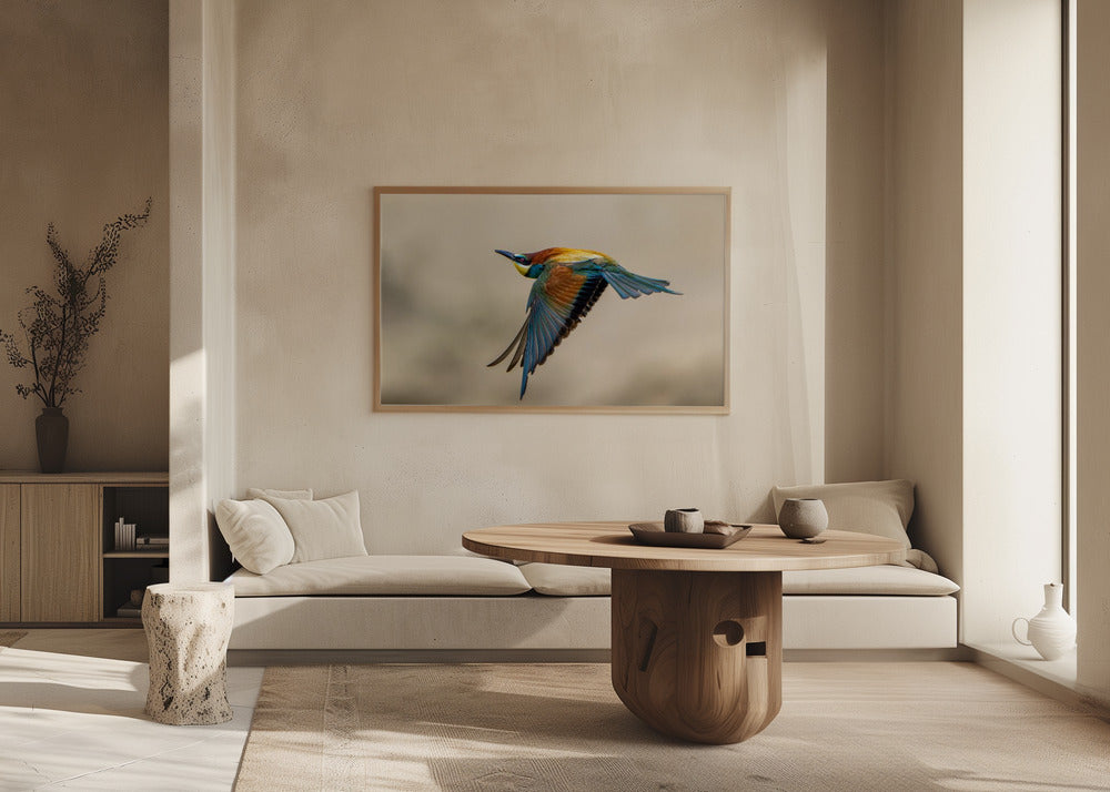 Bee-eater Poster