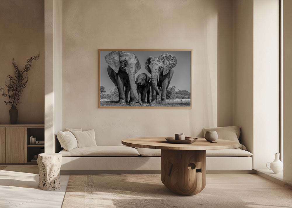 Elephant Family Poster