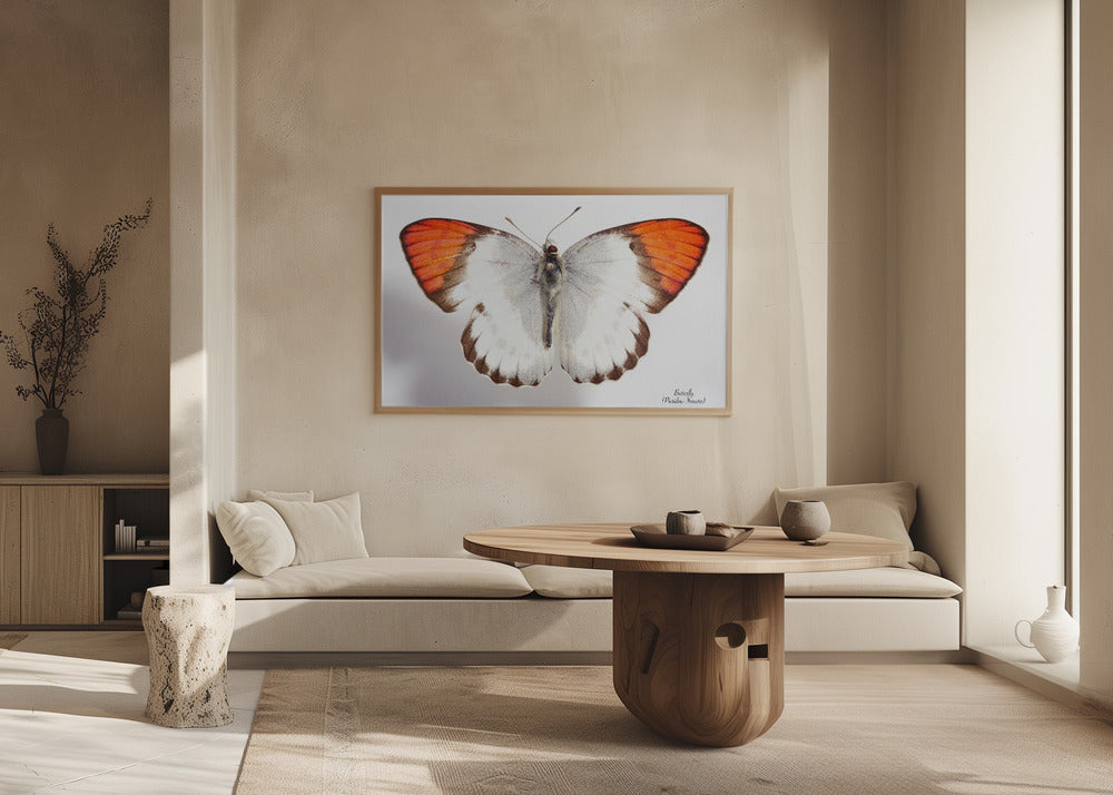 Butterfly - 3 Poster