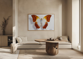 Butterfly - 4 Poster