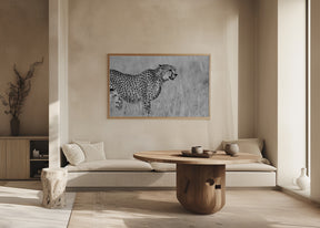 Side view of cheetah standing on field Poster