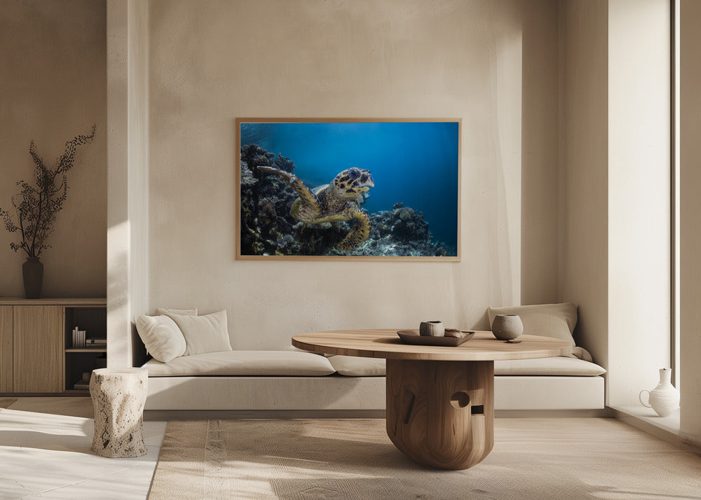 Hawksbill turtle Poster