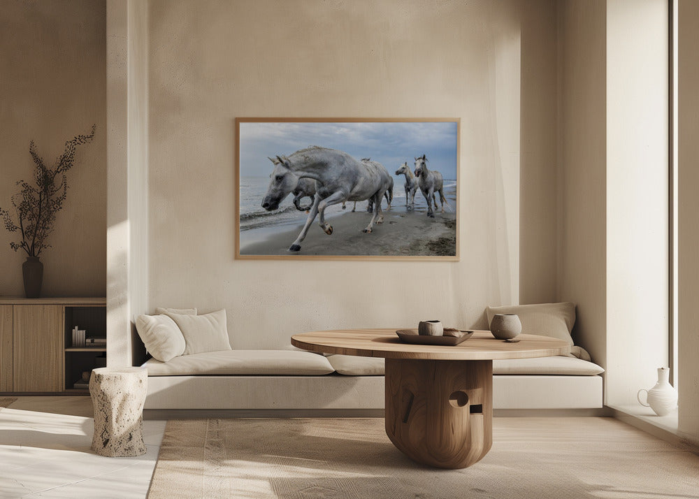 Camargue horses Poster