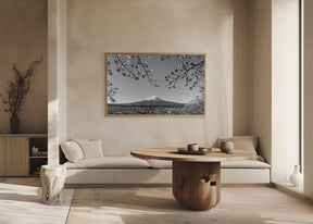 Fantastic view of Mount Fuji with cherry blossoms - monochrome Poster