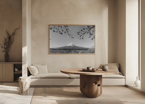 Fantastic panoramic view of Mount Fuji with cherry blossoms - monochrome Poster