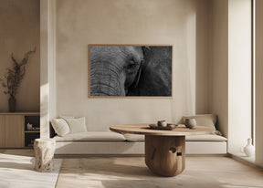 Close-up of elephant Poster