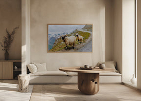 Sheep in the Swiss Alps Poster