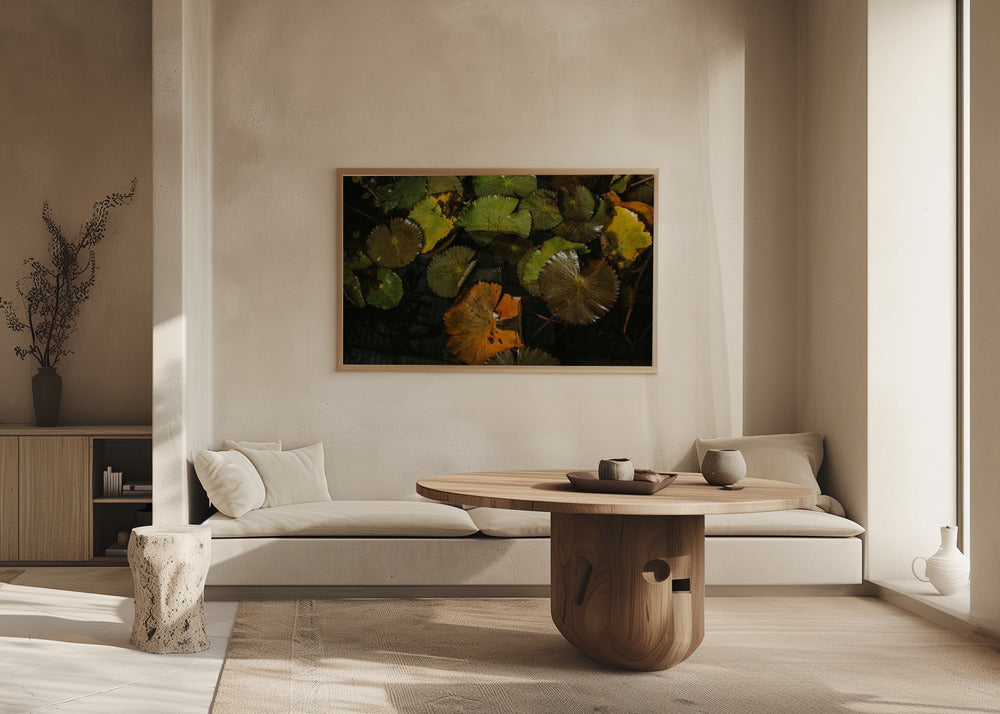 Lily Pads Poster