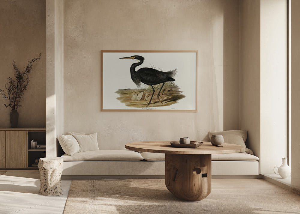 Sombre Egret Poster