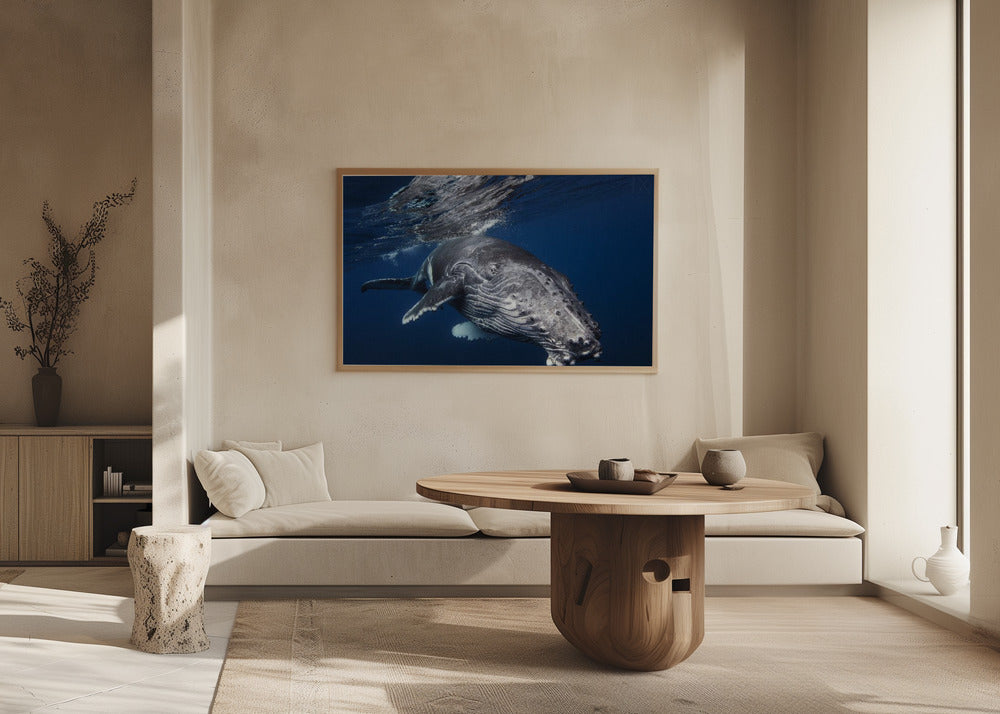 Humpback Whale Poster