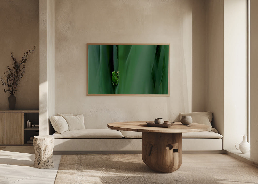 Stage curtain Poster