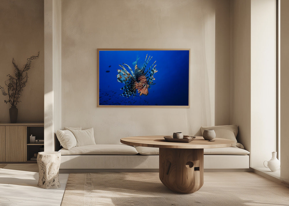 Lionfish Poster