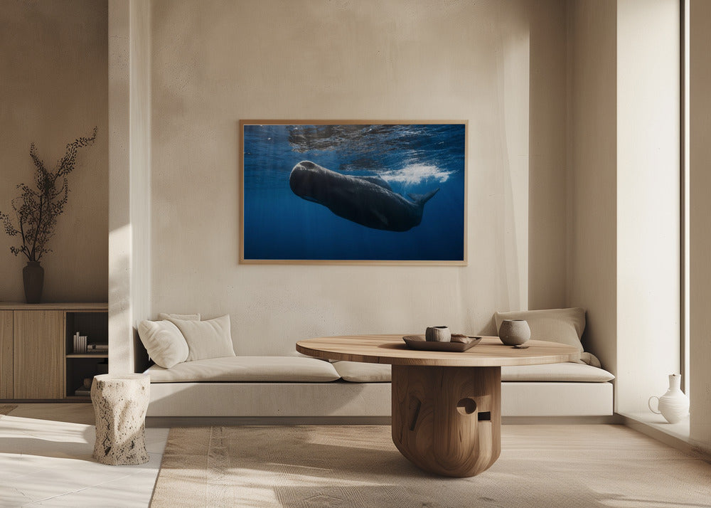 Sperm whale Poster