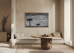 Elephant Landscape Poster