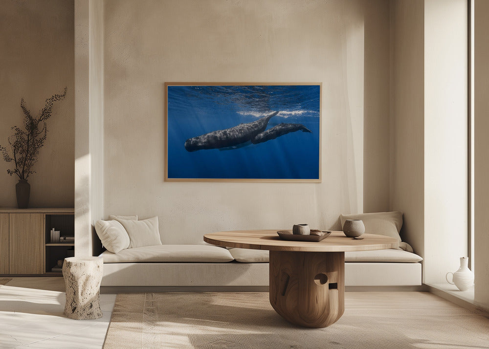 Sperm whale family Poster