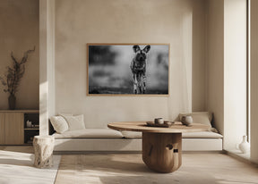 Monochrome Wild Dog Poster