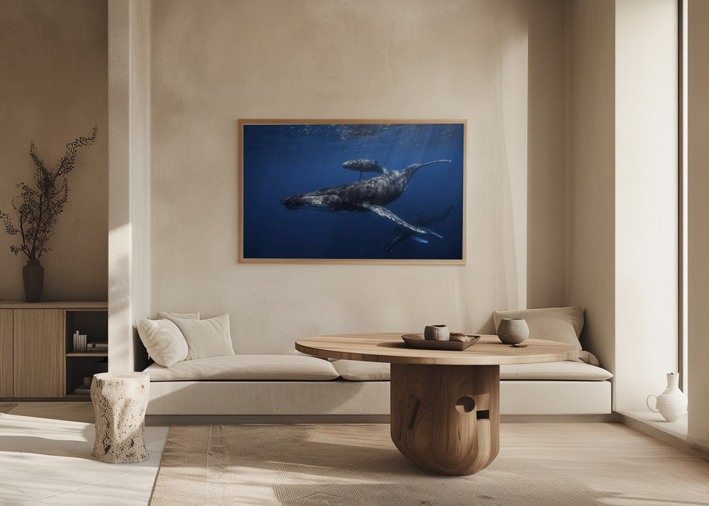 Humpback whale family's Poster