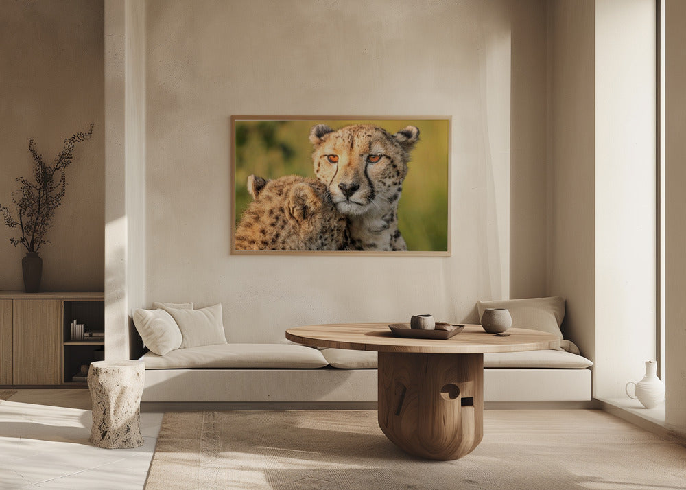 Cheetah eyes Poster