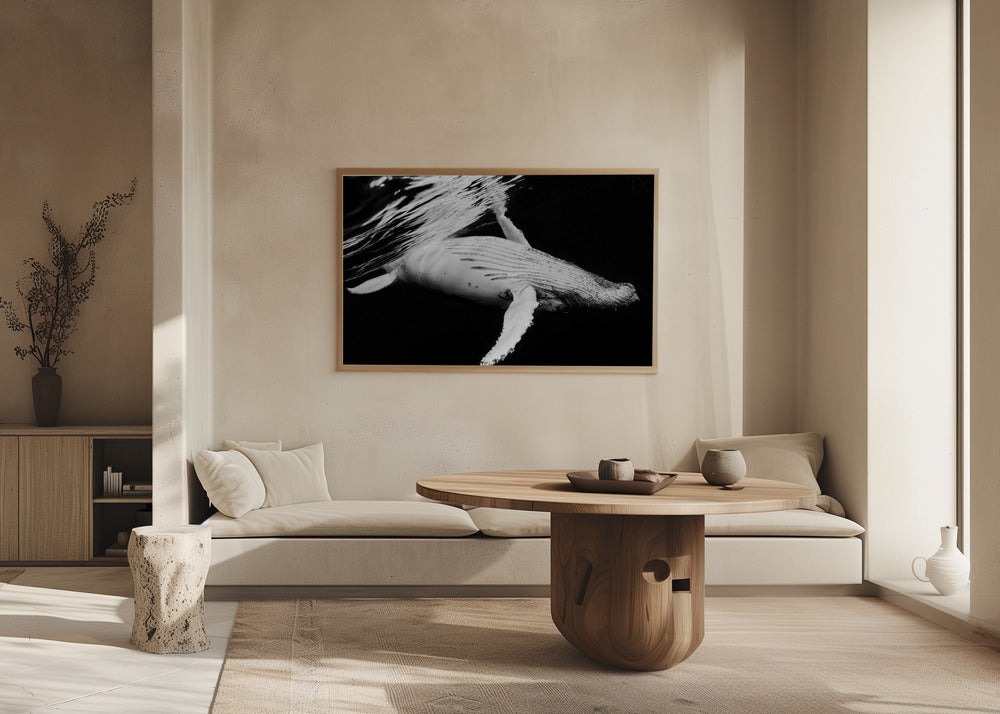 Black &amp; Whale Poster