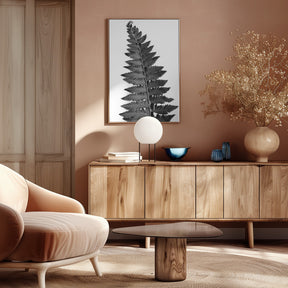 Gray fern leaf Poster