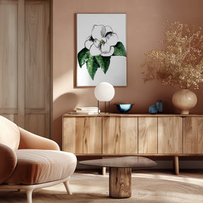 White magnolia Poster