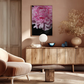 Pink peony V Poster